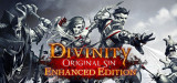 Divinity: Original Sin Enhanced Edition para PC